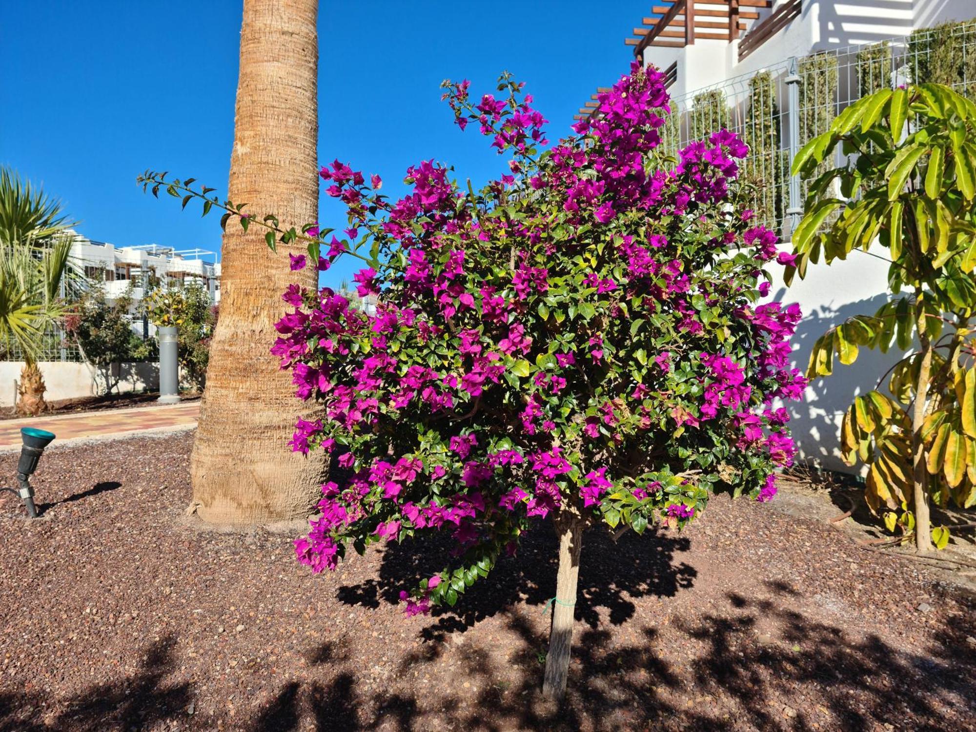 Ferienwohnung El Sueno San Juan de los Terreros Exterior foto