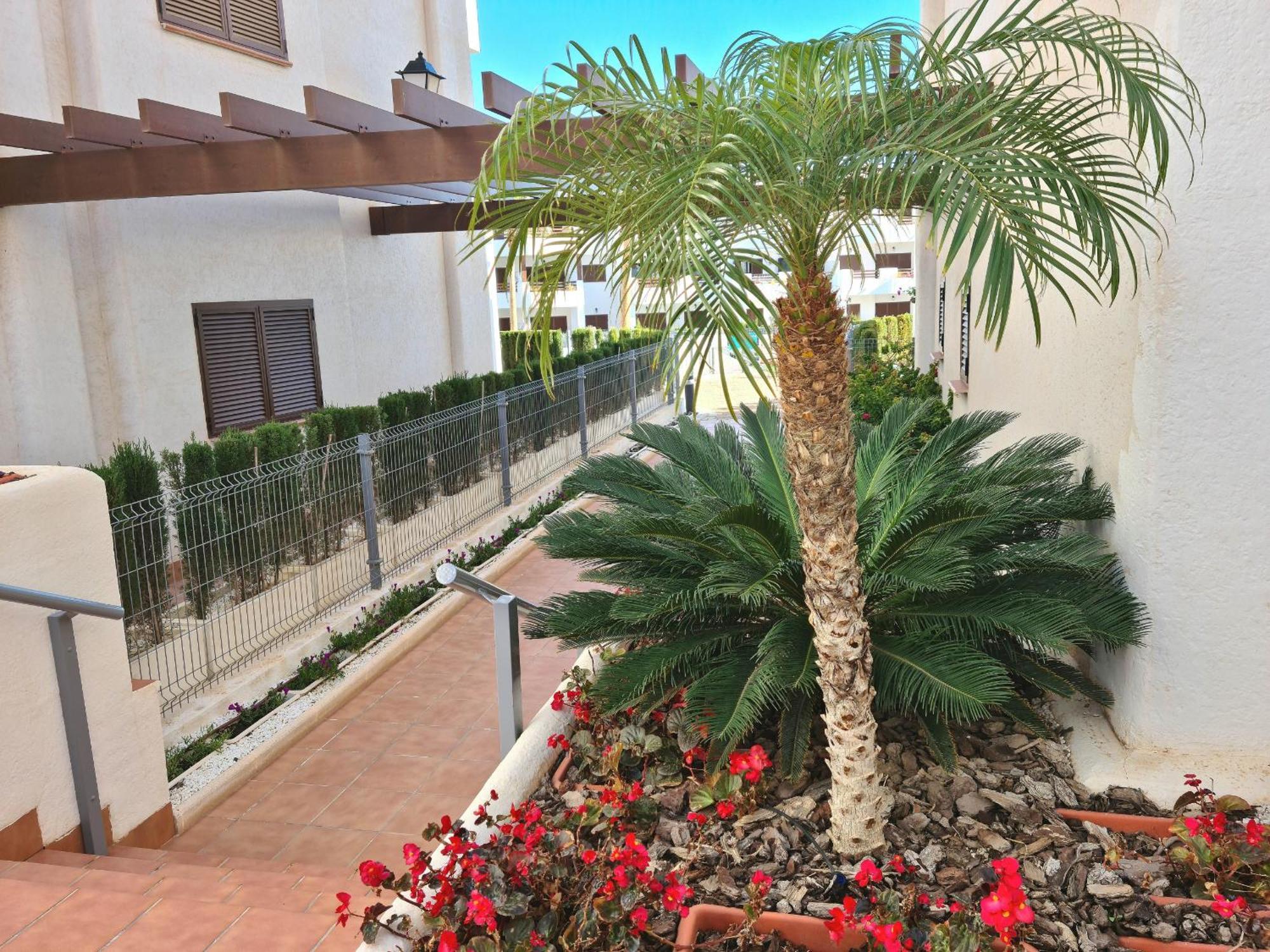 Ferienwohnung El Sueno San Juan de los Terreros Exterior foto